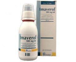 Имаверол: помощник при борьбе с лишаём у кошек