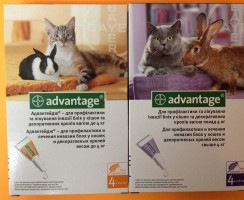 Адвантейдж для кошек — капли от блох и вшей