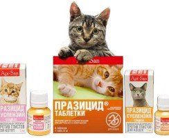 Антигельминтик Празицид: свойства и применение препарата