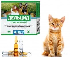 Инструкция по применению препарата Дельцид (2 мл)