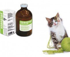 Ковертал для кошек: рекомендации по применению