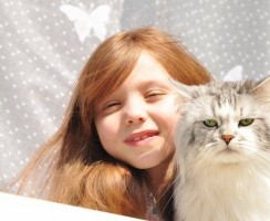 Какую кошку завести для ребёнка