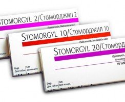 Стоморджил — антибактериальный препарат для кошек