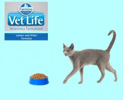 Vet Life: ветеринарные диеты от Farmina