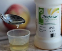 Лечение кошек Дюфалаком