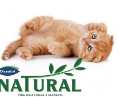 «Гуаби» — бразильский корм для кошек