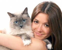 Признаки проявления кошачьей любви к человеку