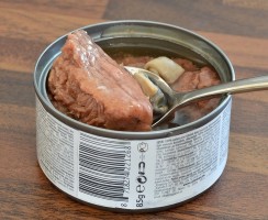 Можно ли кормить котят и взрослых кошек только влажными кормами