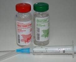 Лиарсин не только при расстройствах органов пищеварения у кошек