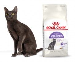 Корма для стерилизованных и кастрированных кошек и котов марки Royal Canin