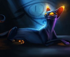 Зачем и как вызывают египетского кота