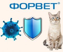 Форвет — иммуномодулятор с противовирусным эффектом