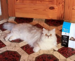 Корма для кошек Royal Farm