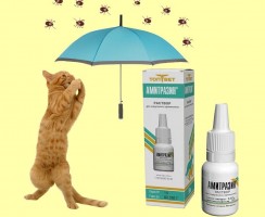 Амитразин от клещей у кошек