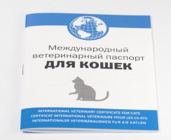 Ветеринарный паспорт для кошки: нюансы оформления документа