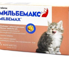 Мильбемакс для кошек: помощник в борьбе с паразитами