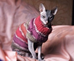 Как подобрать костюм для сфинкса и сшить его своими руками