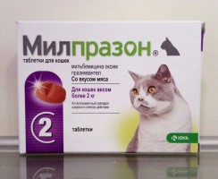 Милпразон для кошек — палочка-выручалочка при глистных инвазиях