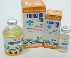 Тилозин: обзор антибиотика для кошек