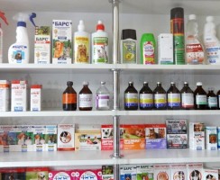 Дирофен Плюс: избавление питомца от паразитов