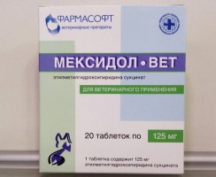 Мексидол-Вет — тройная защита для организма кошки