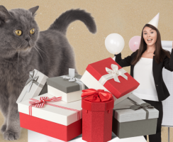 Что подарить коту на 23 февраля