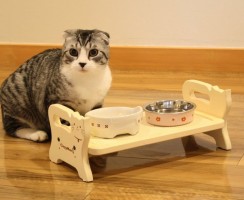 Обзор корма для кошек марки Trainer