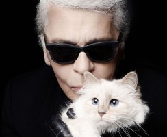 «Человек и кошка»: Карл Лагерфельд и его Шупетт