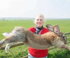 Рекорды Гиннесса среди животных