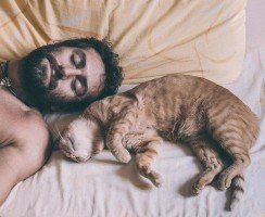 Пушистые музы: факты о котах известных людей