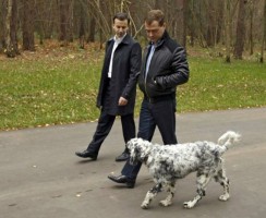 Собаки и кошки Дмитрия Медведева: кто живёт у политика