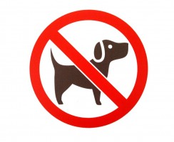 Животным здесь не рады: можно ли заходить в магазин с собакой