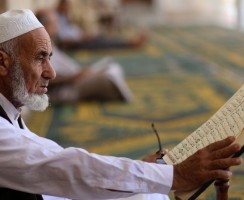 Собака в доме мусульманина: возможно ли это