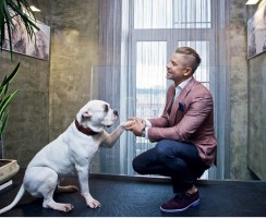 Американский бульдог Белоснежка: любимая собака певца Мити Фомина