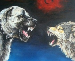 Кто сильнее: собака или волк