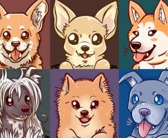 Корейские клички для собак: интересные варианты со значением