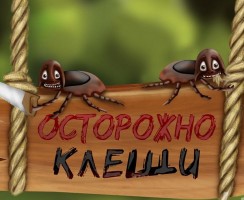 Как быстро и безопасно вытащить клеща у себя или своего питомца
