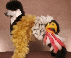 Креативный груминг пуделей