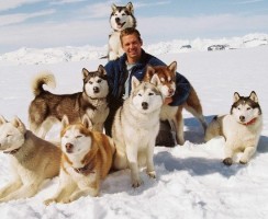 3 самые знаменитые хаски в мире