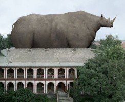 Гигантские животные, причины их исчезновения