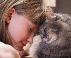 5 признаков того, что кошка вас любит