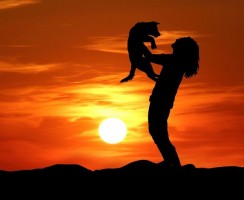 Из глубины веков: список самых древних пород собак