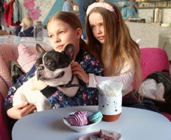 Японские кафе с животными: зачем создаются и гуманны ли