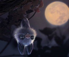 Домашняя летучая мышь: стоит ли заводить и какие сложности ждут в содержании?