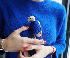 Замёрзший попугай: «Наташа, закрой окно!»