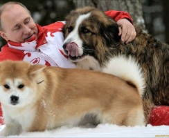 Собаки президента России Владимира Путина