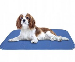 Спасём свою собаку от жары: как самим сделать охлаждающий коврик для питомца