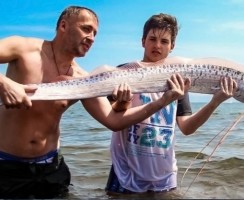 Сельдяной король впервые объявился в России