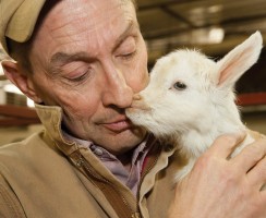 Это не фантастика: коза-паук существует