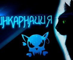Кошачья душа: возможна ли реинкарнация